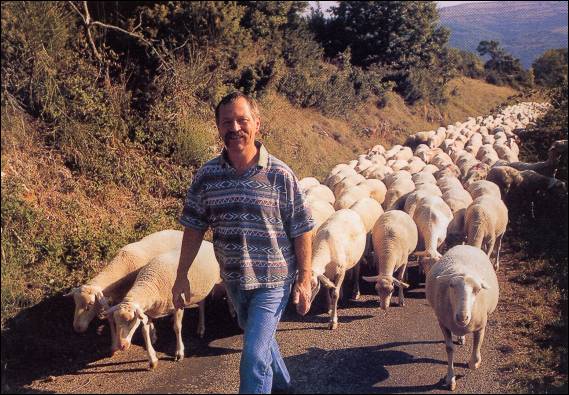 J. Bové et ses moutons