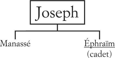 Joseph - Ephraïm - Manassé
