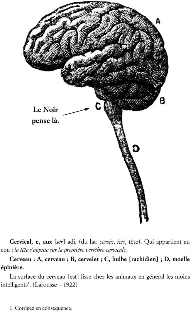 Les Noirs pensent là !